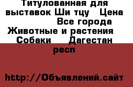 Титулованная для выставок Ши-тцу › Цена ­ 100 000 - Все города Животные и растения » Собаки   . Дагестан респ.